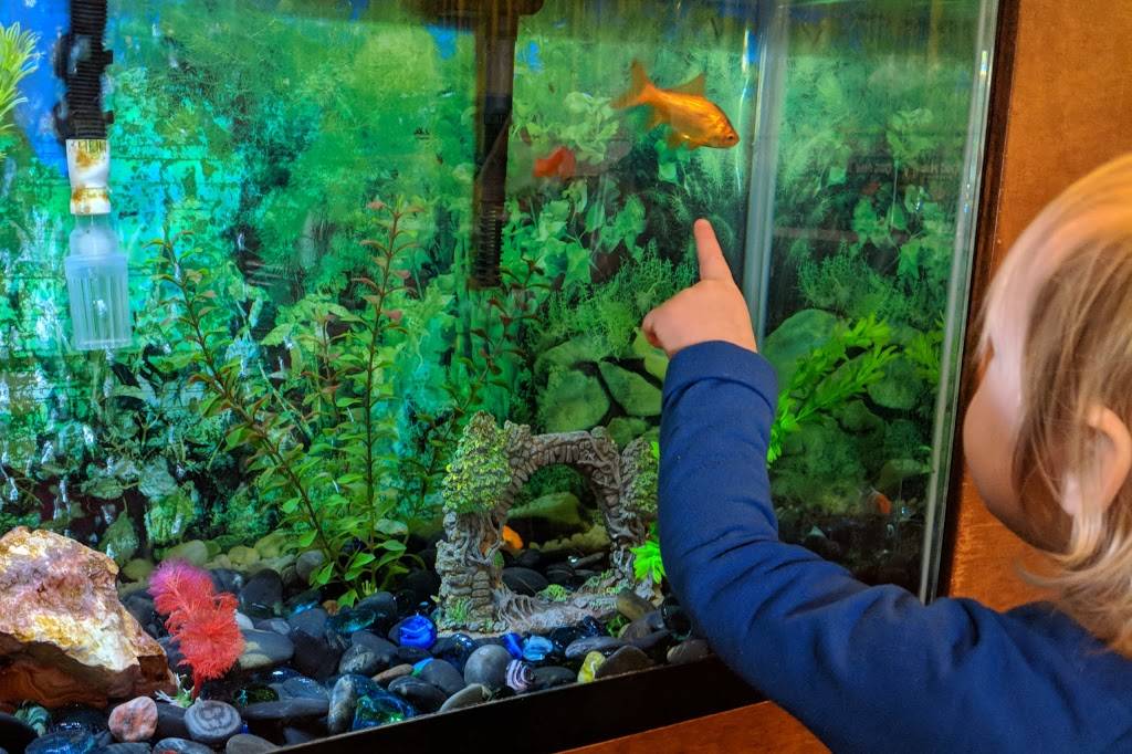 Blue Jade | restaurant | 7080 Engle Rd, Cleveland, OH 44130, USA | 4402341668 OR +1 440-234-1668