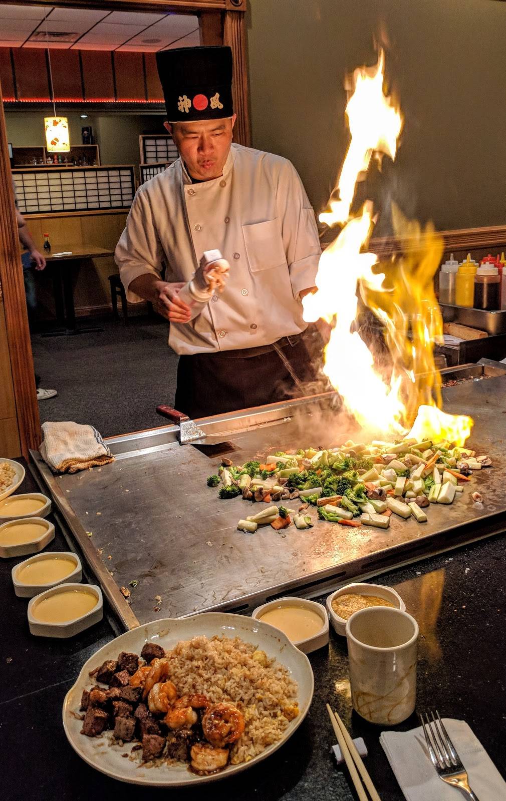 Mt Fuji Japanese Restaurant | restaurant | 830 County Rd 64, Elmira, NY 14903, USA | 6077398828 OR +1 607-739-8828