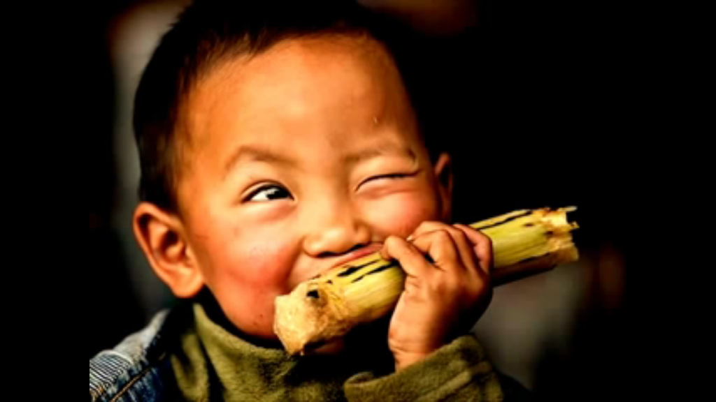 Always Sunny | cafe | 425 S Conkling St, Baltimore, MD 21224, USA | 4109290711 OR +1 410-929-0711