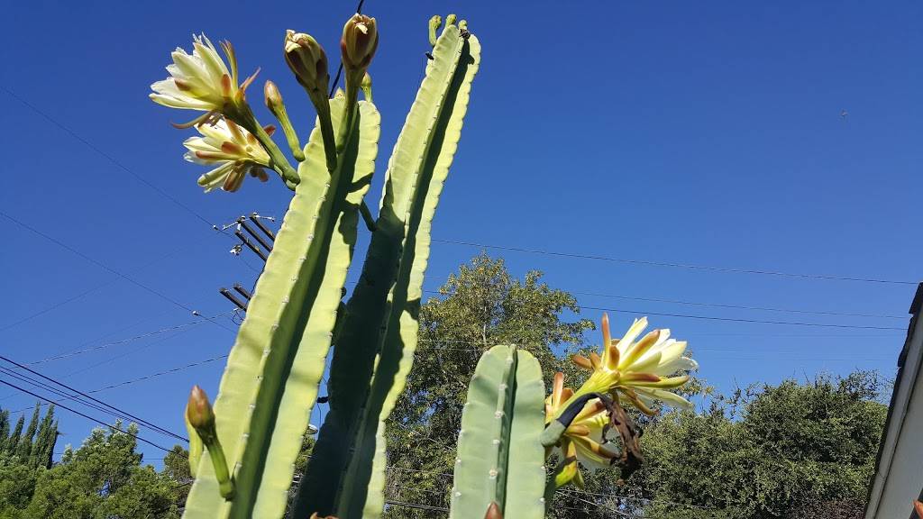 Monte Carlo Restaurant & Banquet | restaurant | 7258 Foothill Blvd, Tujunga, CA 91042, USA | 8183520199 OR +1 818-352-0199