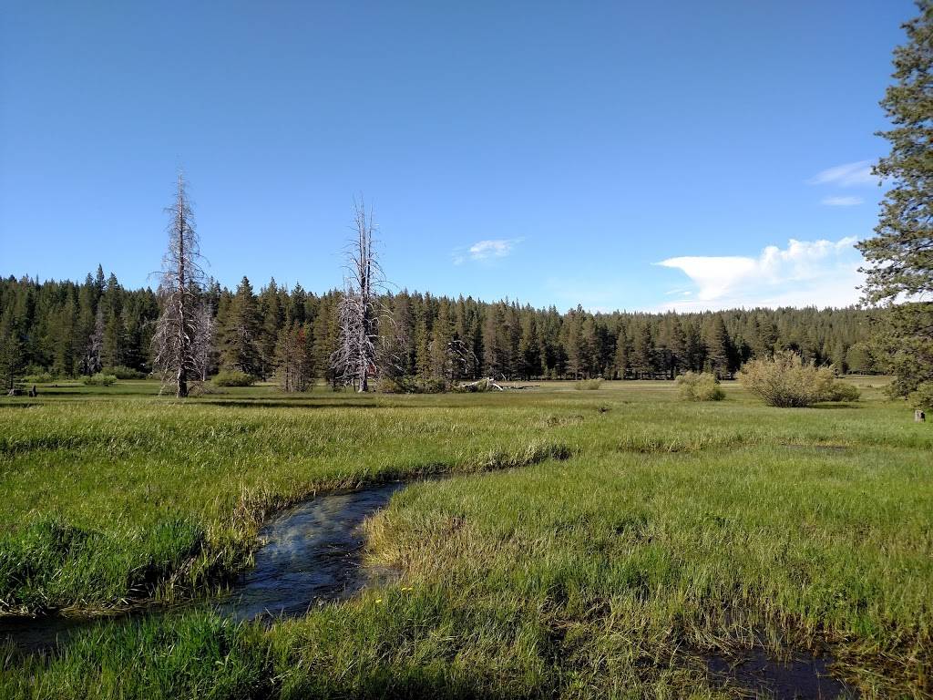 Tahoe Donner Association | restaurant | 11509 Northwoods Blvd, Truckee, CA 96161, USA | 5305879400 OR +1 530-587-9400