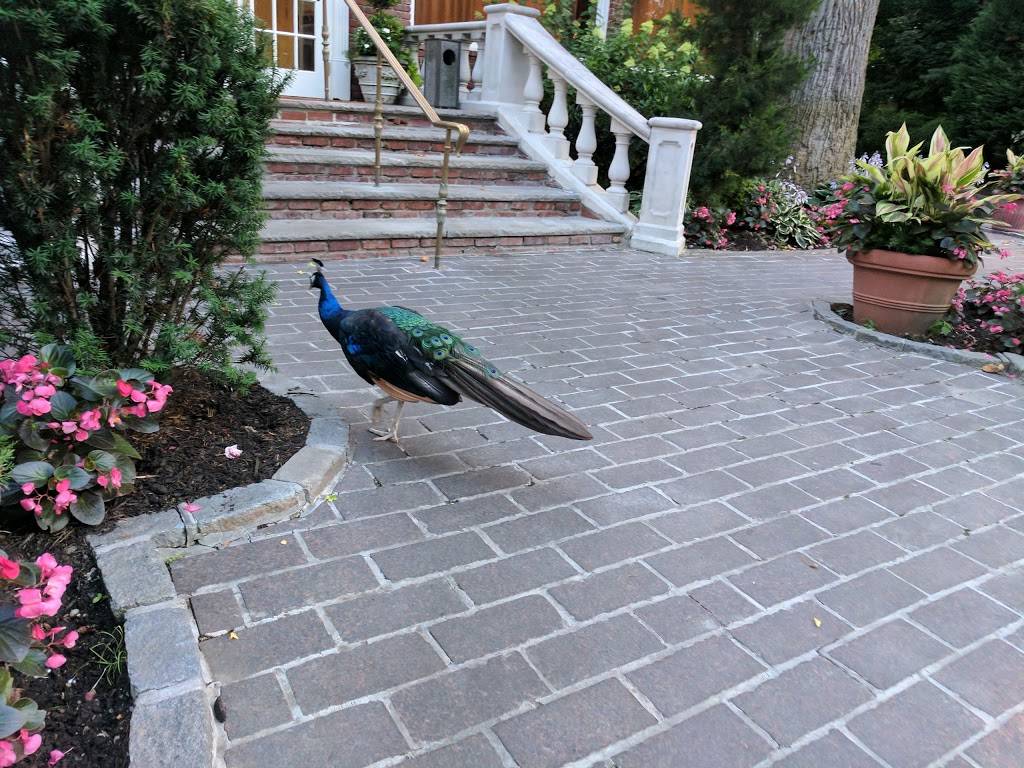 Westbury Manor | restaurant | 1100 Jericho Turnpike, Westbury, NY 11590, USA | 5163337117 OR +1 516-333-7117