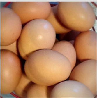 Mid Valley Organics, Inc. | restaurant | 13 Cortez Rd, Lake Ariel, PA 18436, USA | 5709379539 OR +1 570-937-9539