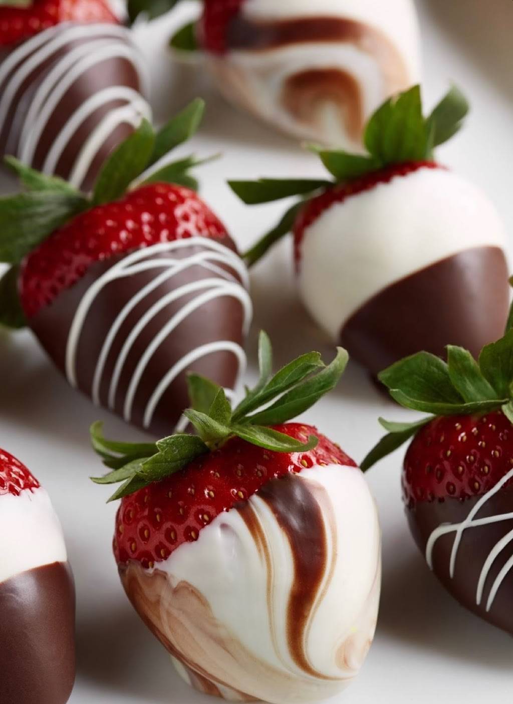 Tea and Tea Cafe | cafe | 127 W Fairbanks Ave, Winter Park, FL 32789, USA | 4078006100 OR +1 407-800-6100