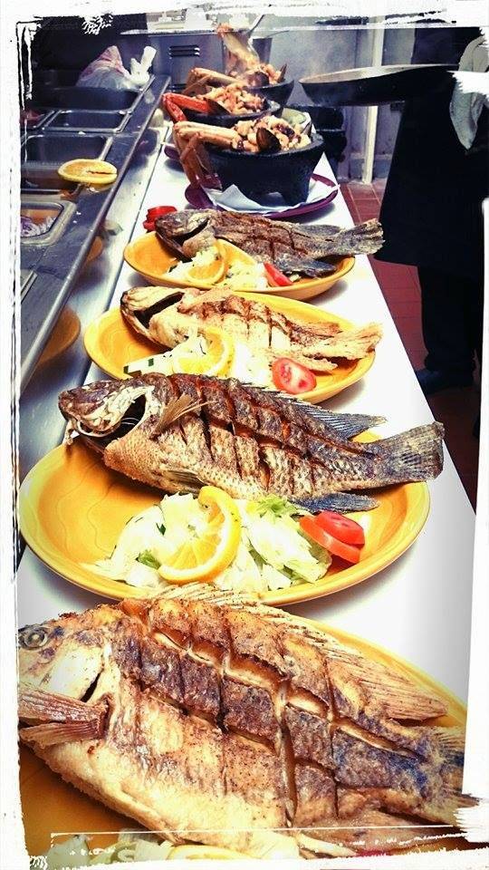 Mai-Quesi | restaurant | 1518 E New York St, Aurora, IL 60505, USA | 6305850720 OR +1 630-585-0720