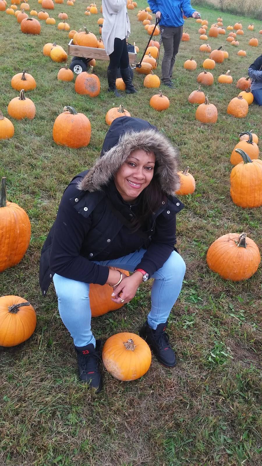 Pigout Roasting | restaurant | 1155 Strohls Valley Rd, Lehighton, PA 18235, USA | 6106816738 OR +1 610-681-6738