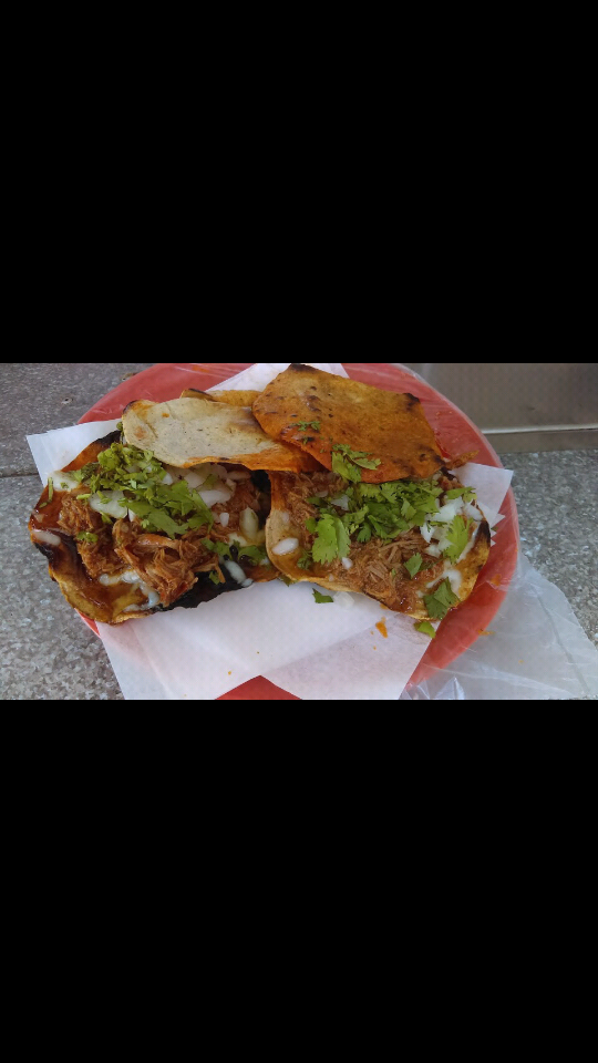 Birrieria EL PAPACHI | restaurant | Av. Ejido Chilpancingo 20550, Buenos Aires Nte., 22000 Tijuana, B.C., Mexico | 016641746869 OR +52 664 174 6869