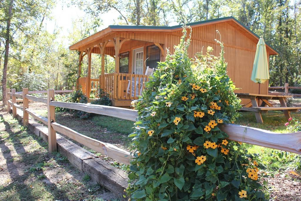 Sabor a Pasion Estate & Vineyard | restaurant | 110 An County Road 406, Palestine, TX 75803, USA | 9037299500 OR +1 903-729-9500