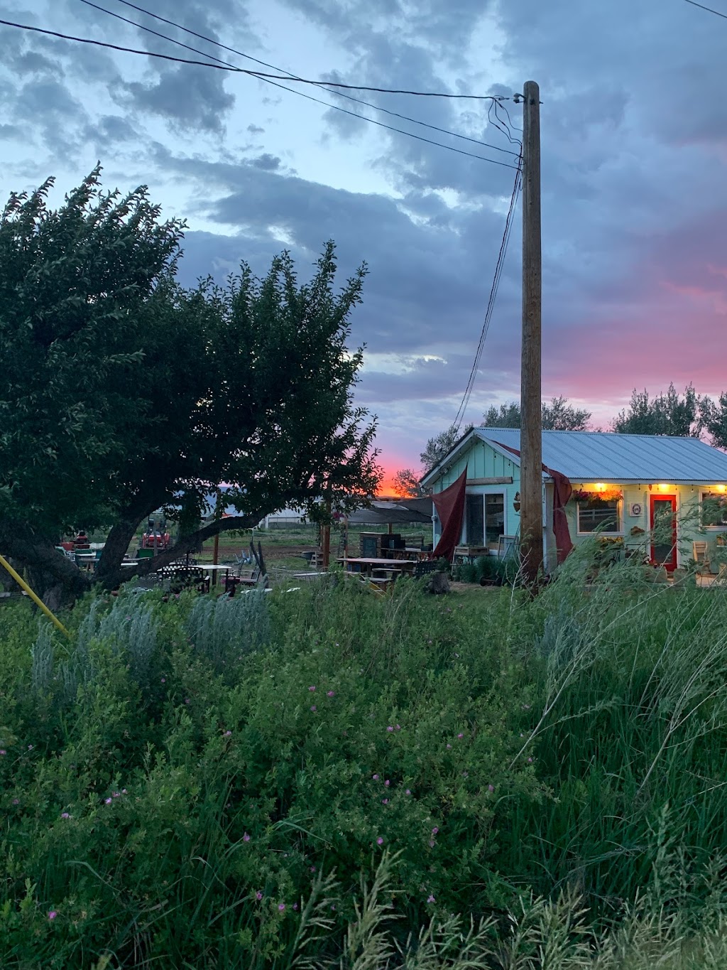 Sweet Pea Farm And Orchard | restaurant | 136 S 600 W, Parowan, UT 84761, USA | 4355316461 OR +1 435-531-6461