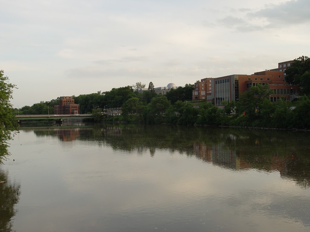 Iowa City Downtown District | restaurant | 103 E College St #200, Iowa City, IA 52240, USA | 3193540863 OR +1 319-354-0863