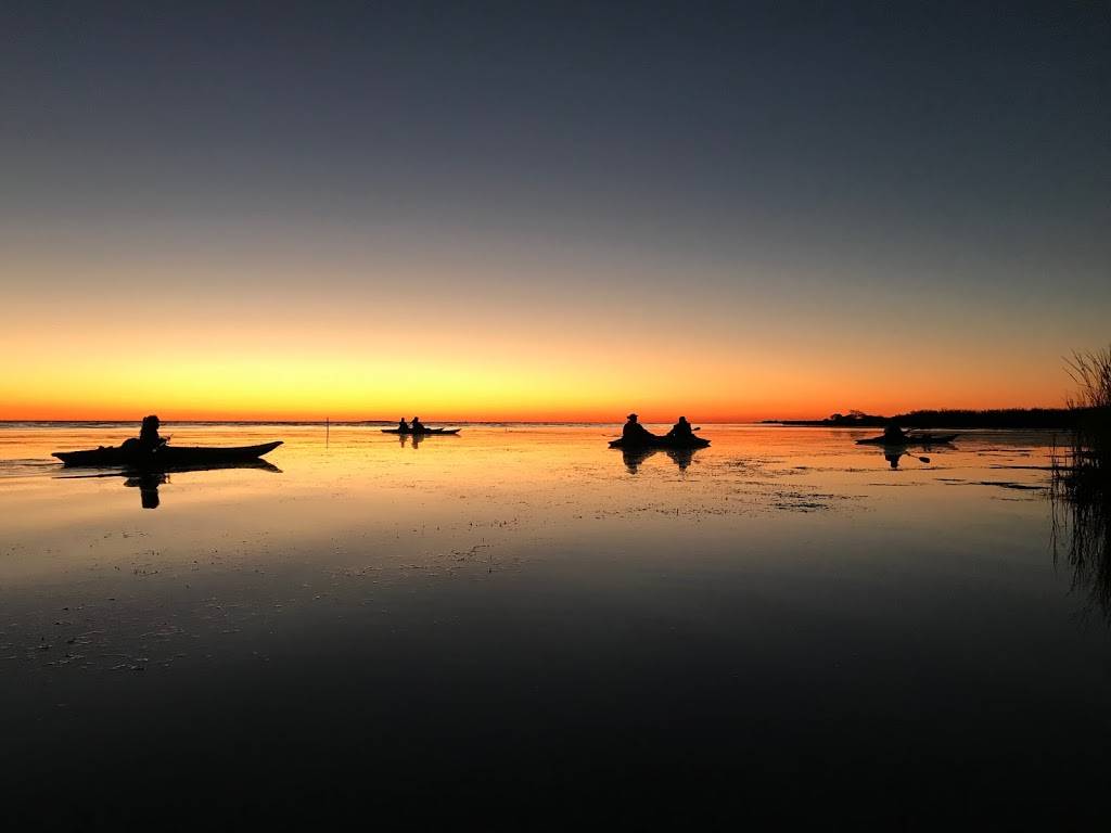 Bayou Adventure | cafe | 28178 U.S. Hwy 190, Lacombe, LA 70445, USA | 9858829208 OR +1 985-882-9208