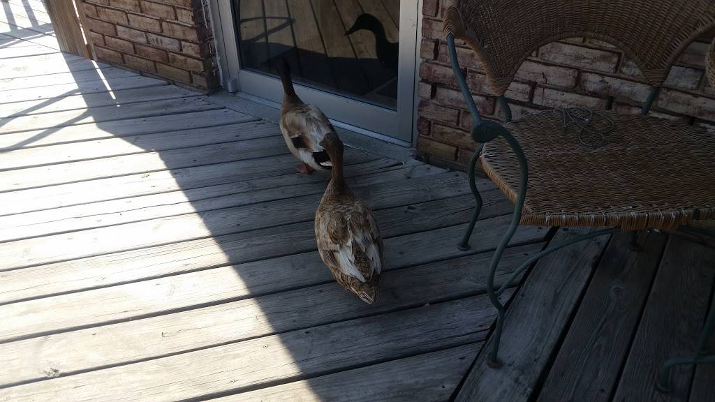 Macs Pizzarina | restaurant | 114 Lake Meade Dr, East Berlin, PA 17316, USA | 7176197541 OR +1 717-619-7541