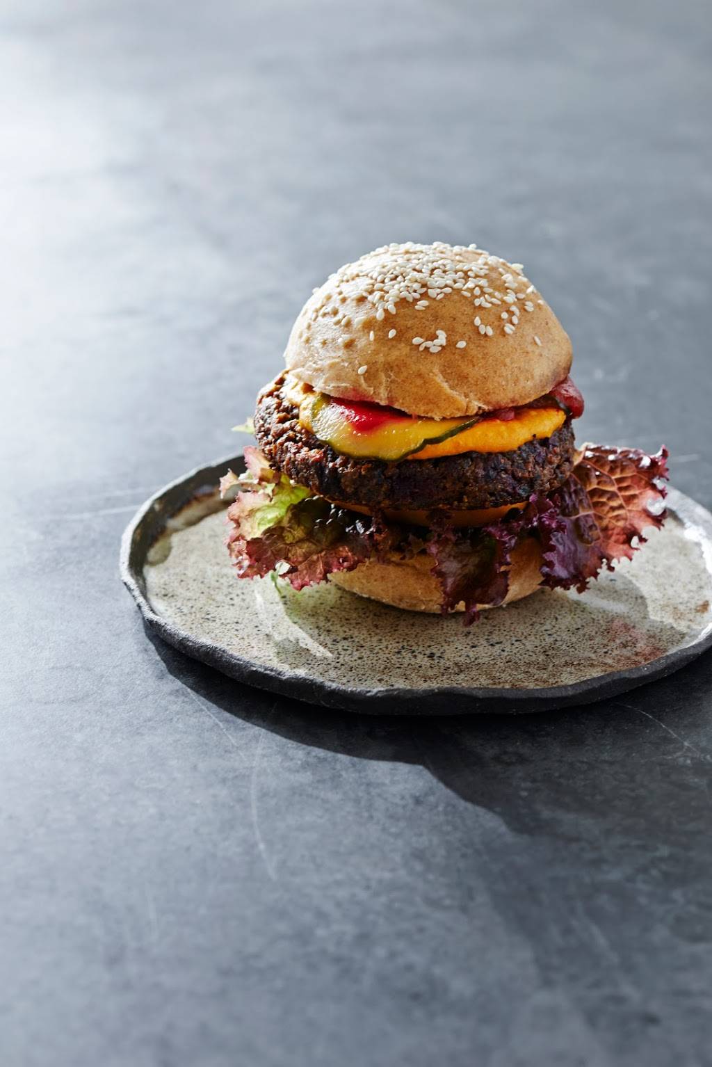 Plant Food and Wine | restaurant | 1009 Abbot Kinney Blvd, Venice, CA 90291, USA | 3104501009 OR +1 310-450-1009