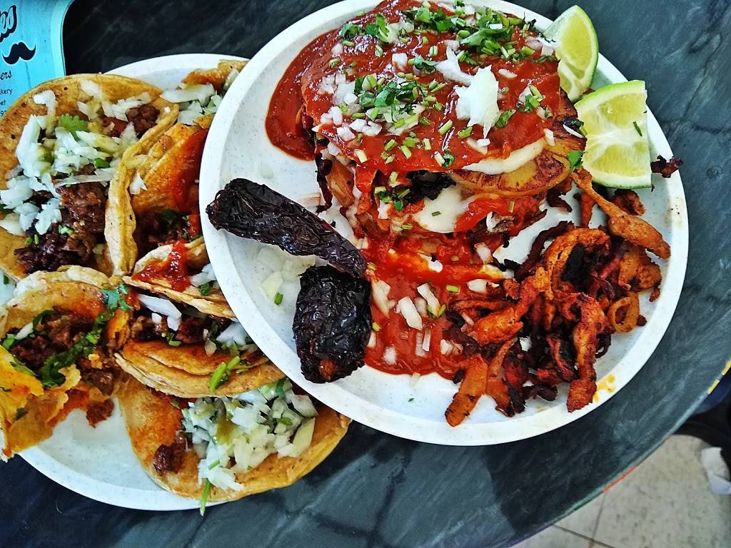 El Bigotes Tacos & Burgers | restaurant | 988 Vinewood St, Wyandotte, MI 48192, USA | 3136104274 OR +1 313-610-4274