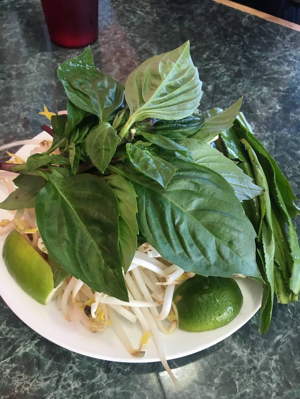 5 Lua Pho | restaurant | 6261 McCormick Blvd, Chicago, IL 60659, USA | 7735090909 OR +1 773-509-0909