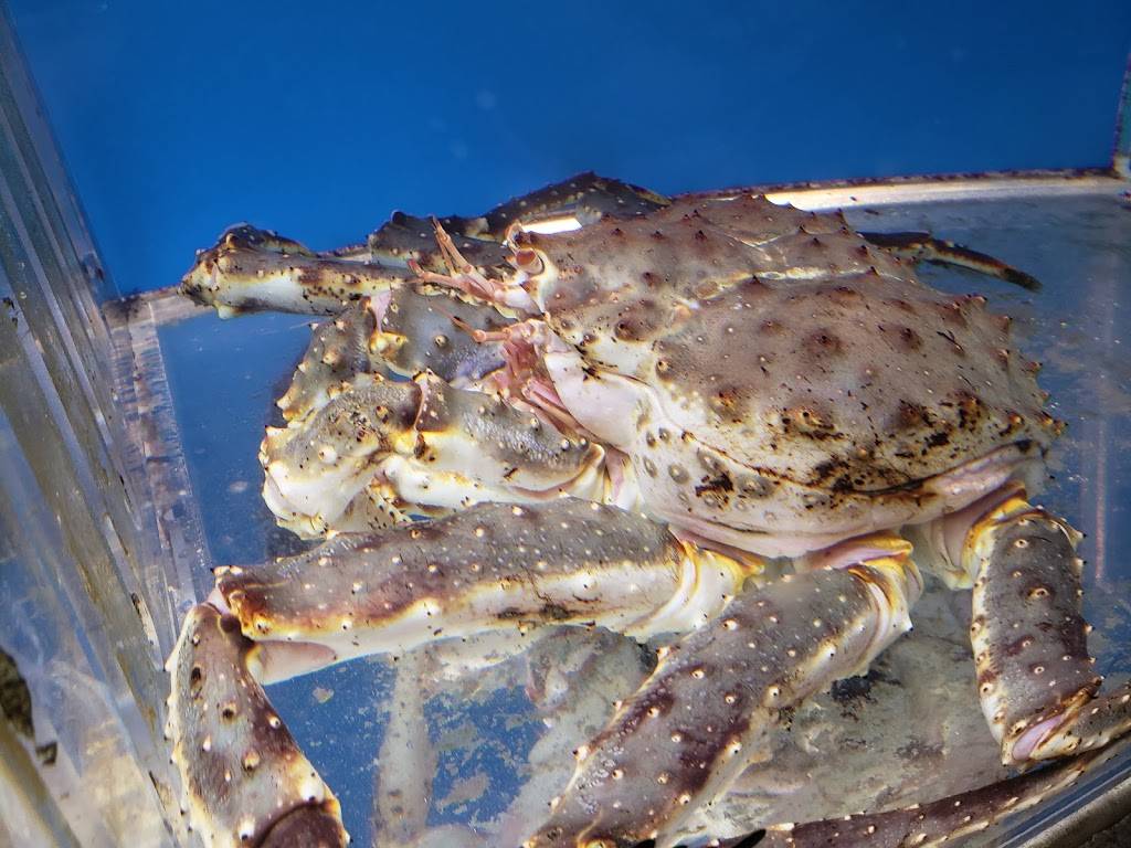 Seafood Shake | restaurant | 1852 Coventry Rd, Cleveland Heights, OH 44118, USA | 2164174830 OR +1 216-417-4830