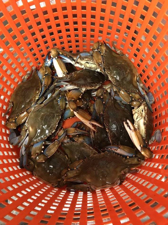 The Crab Stop | restaurant | 1405 Sulphur Spring Rd, Arbutus, MD 21227, USA | 4102421394 OR +1 410-242-1394