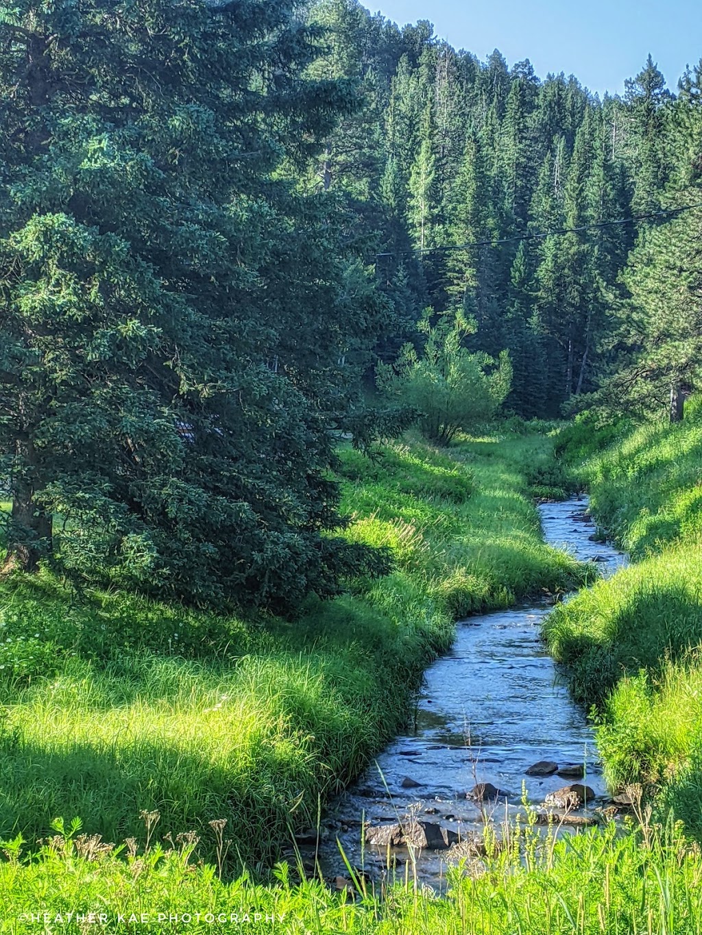 Wild Bills Campground | restaurant | 21372 US-385, Deadwood, SD 57732, USA | 6055782800 OR +1 605-578-2800