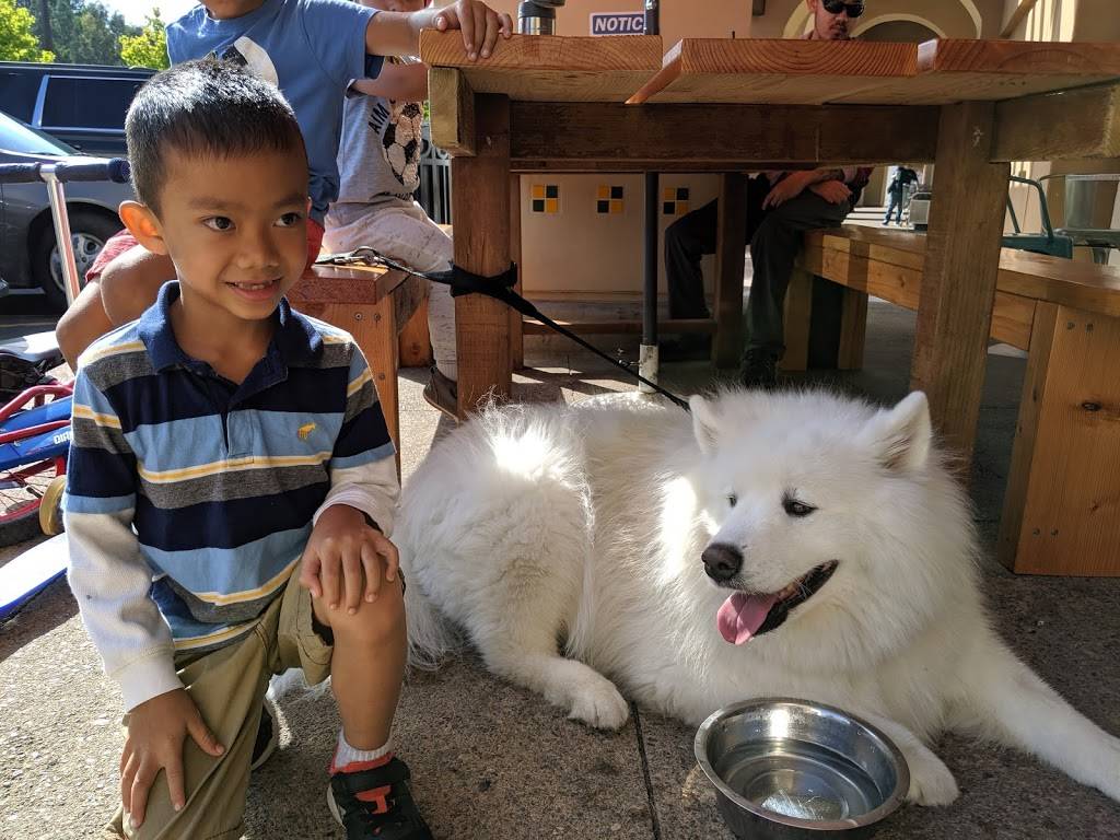 C J Coffee House | restaurant | 8512 E Chapman Ave, Orange, CA 92869, USA | 7146397705 OR +1 714-639-7705