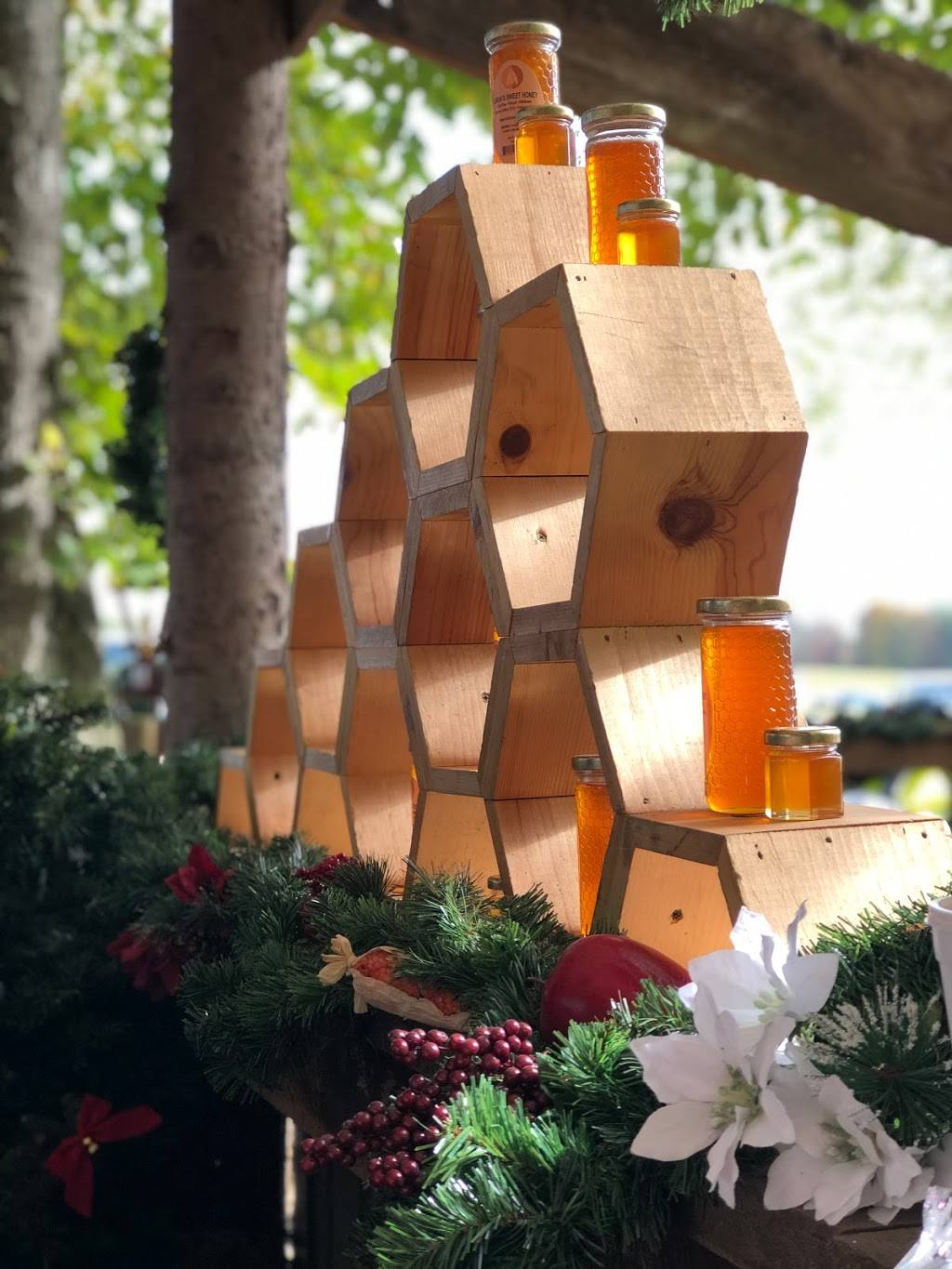 Lindas Bee Farm | restaurant | 3323 Parkman Rd NW, Warren, OH 44481, USA | 3303147856 OR +1 330-314-7856