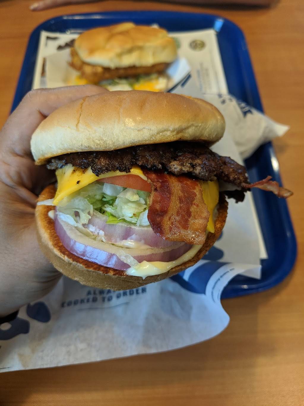 Culvers | restaurant | 19355 Times Cir, Venice, FL 34292, USA | 9414518576 OR +1 941-451-8576
