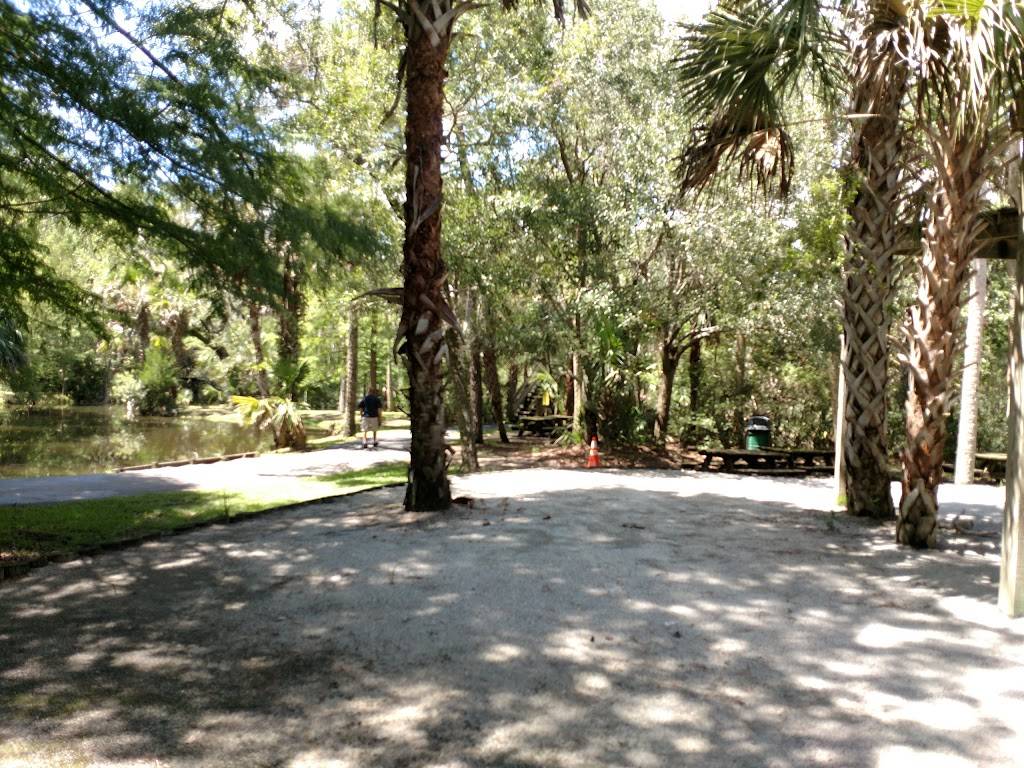 Palmetto Islands County Park | meal takeaway | 444 Needlerush Pkwy, Mt Pleasant, SC 29464, USA | 8437954386 OR +1 843-795-4386
