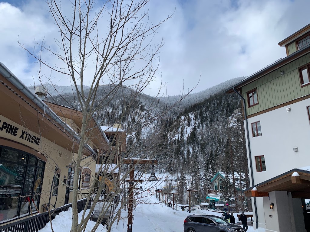 The Blonde Bear Tavern | restaurant | 106 Sutton Pl Suite 1, Taos Ski Valley, NM 87525, USA | 5757376900 OR +1 575-737-6900