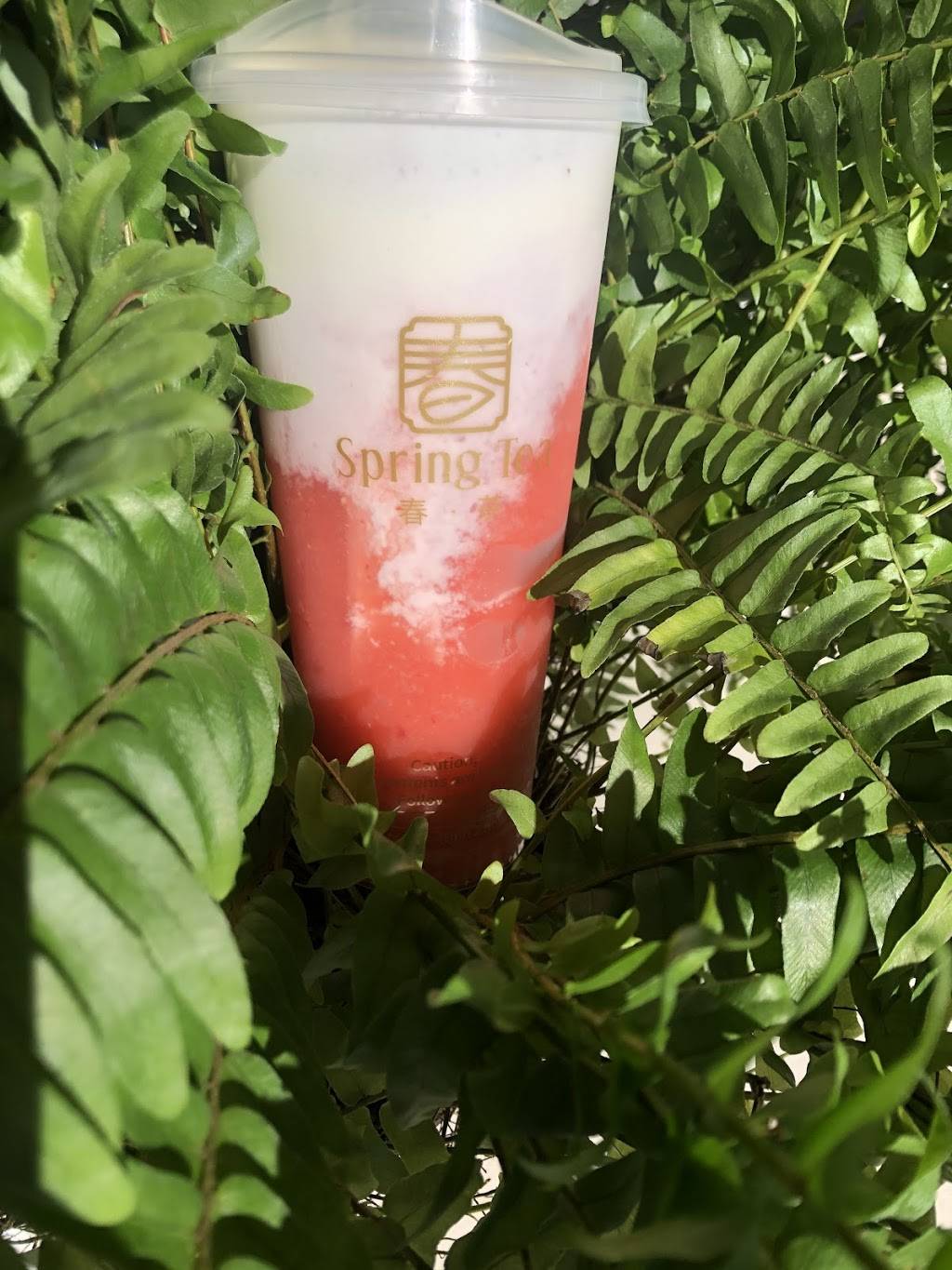 SpringTea | cafe | 8457 S John Young Pkwy, Orlando, FL 32819, USA | 4074135335 OR +1 407-413-5335