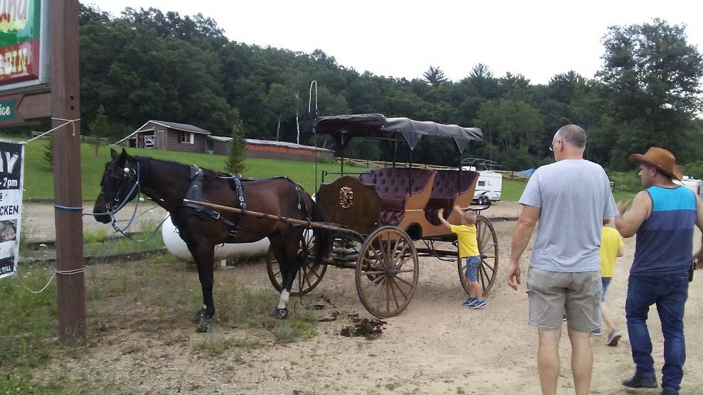 Chapparal Restaurant | restaurant | 316 Dreamland Dr, Wonewoc, WI 53968, USA | 6084643944 OR +1 608-464-3944