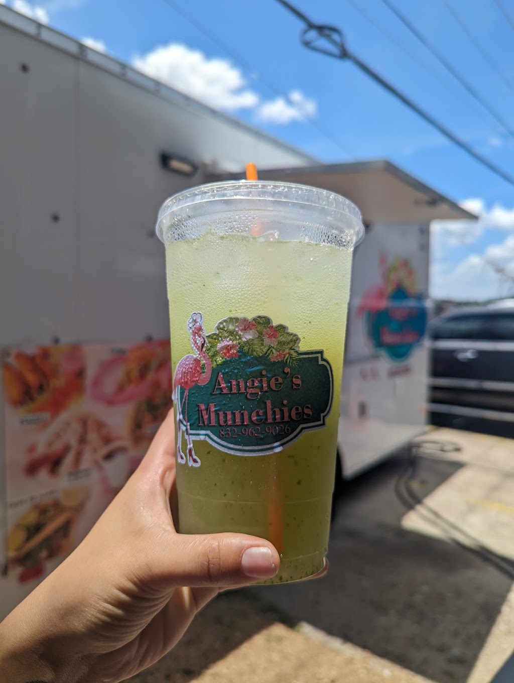 Angies Munchies Restaurant | restaurant | 10100 Hammerly Blvd Ste A, Houston, TX 77080, USA | 8329629026 OR +1 832-962-9026