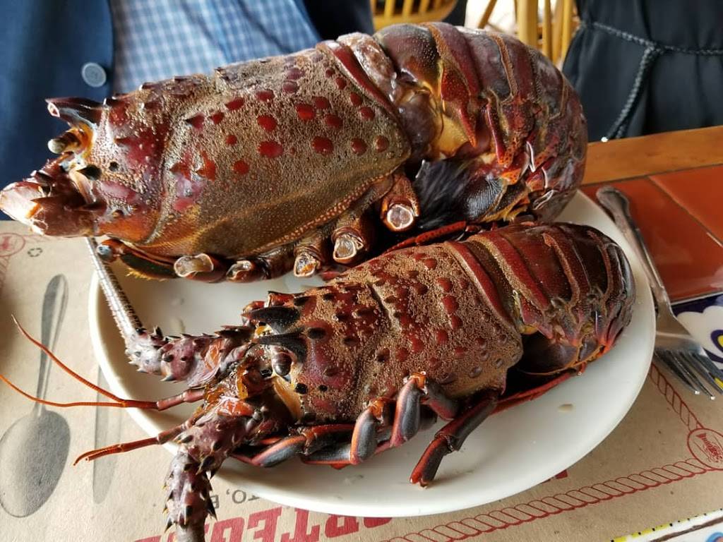 Restaurant Villa Ortegas | restaurant | Barracuda 77, 22710 Puerto Nuevo, B.C., Mexico | 016616140706 OR +52 661 614 0706