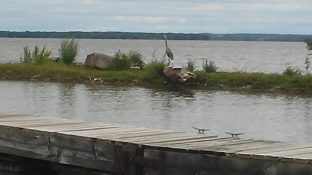 Kinnick On the River | restaurant | 1 Main St, Montrose, IA 52639, USA | 3194637293 OR +1 319-463-7293