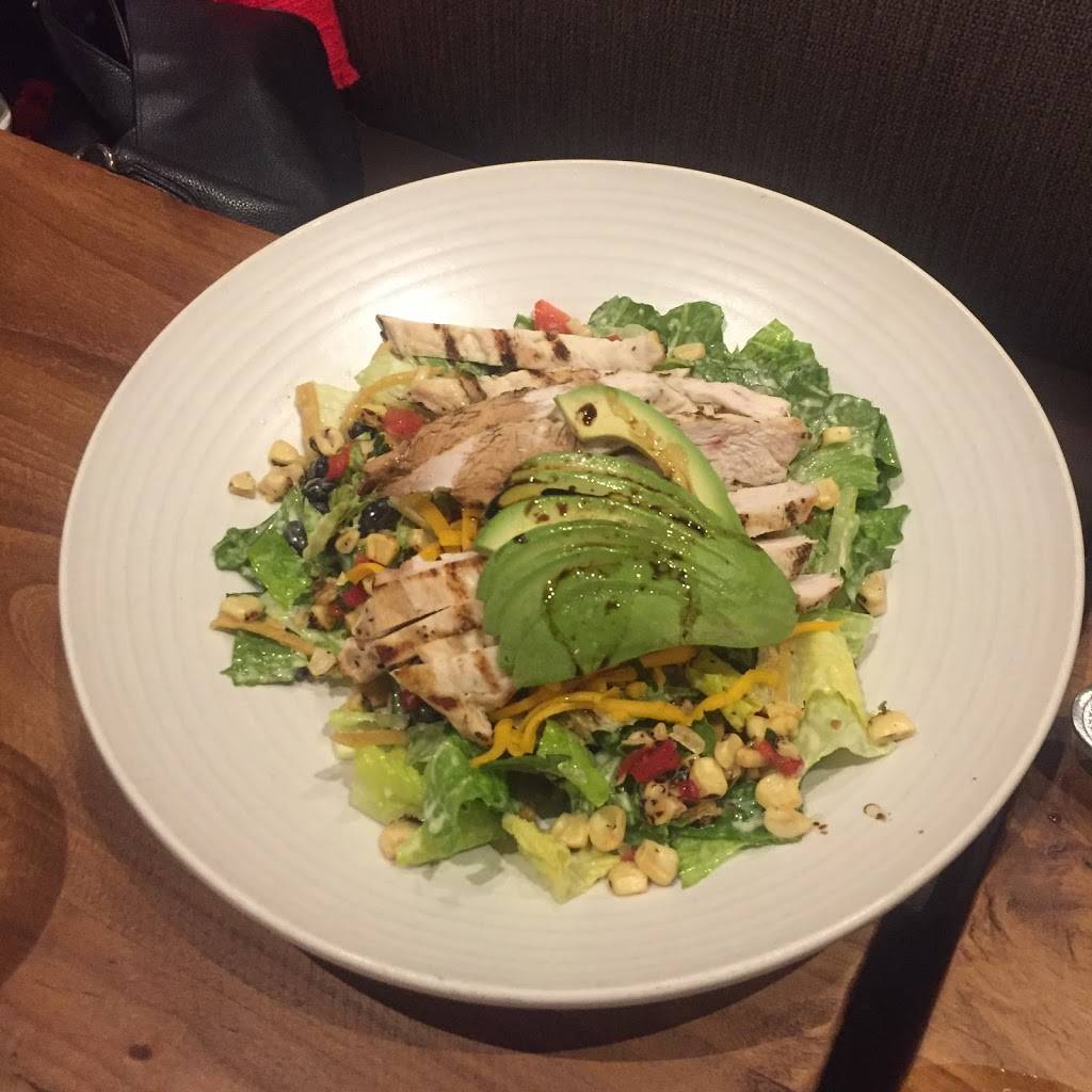 Willow Street | restaurant | 20 S Santa Cruz Ave, Los Gatos, CA 95030, USA | 4083545566 OR +1 408-354-5566