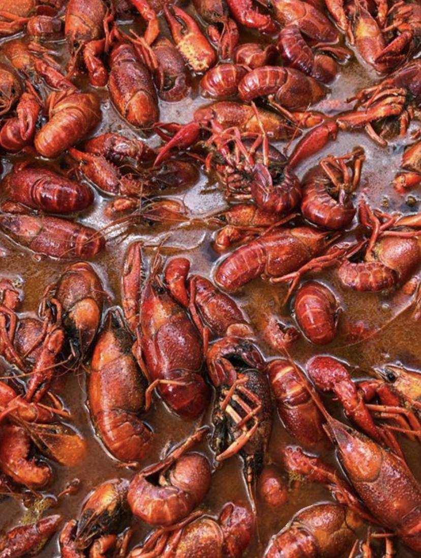 Southern Select Crawfish | restaurant | 435 Leeper Ln, Victoria, TX 77904, USA | 3616498822 OR +1 361-649-8822