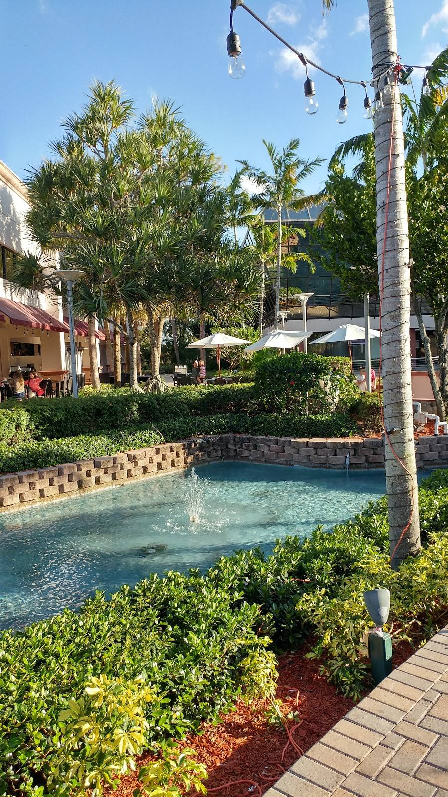 Butcher Block Grill | restaurant | 7000 W Camino Real, Boca Raton, FL 33433, USA | 5614093035 OR +1 561-409-3035