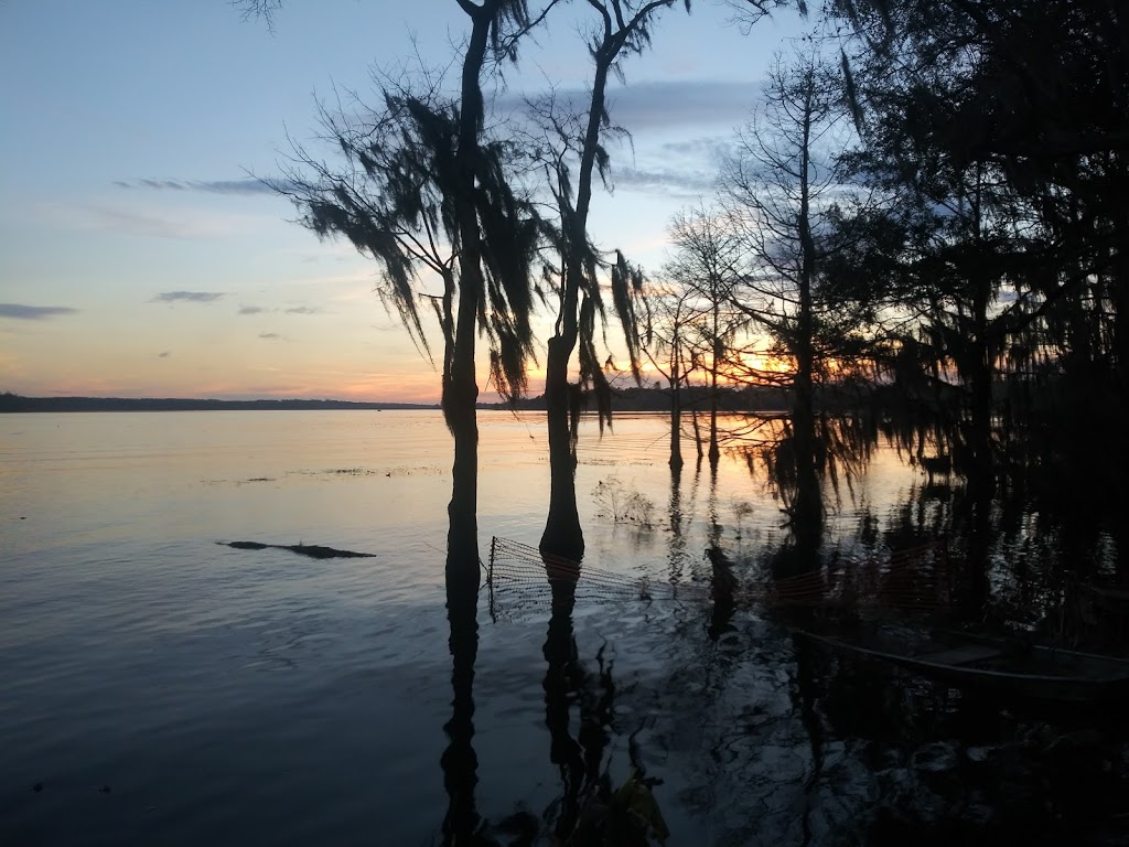 Fish Camp at Lake Iamonia | restaurant | 12062 Waterfront Dr, Tallahassee, FL 32312, USA | 8502287115 OR +1 850-228-7115