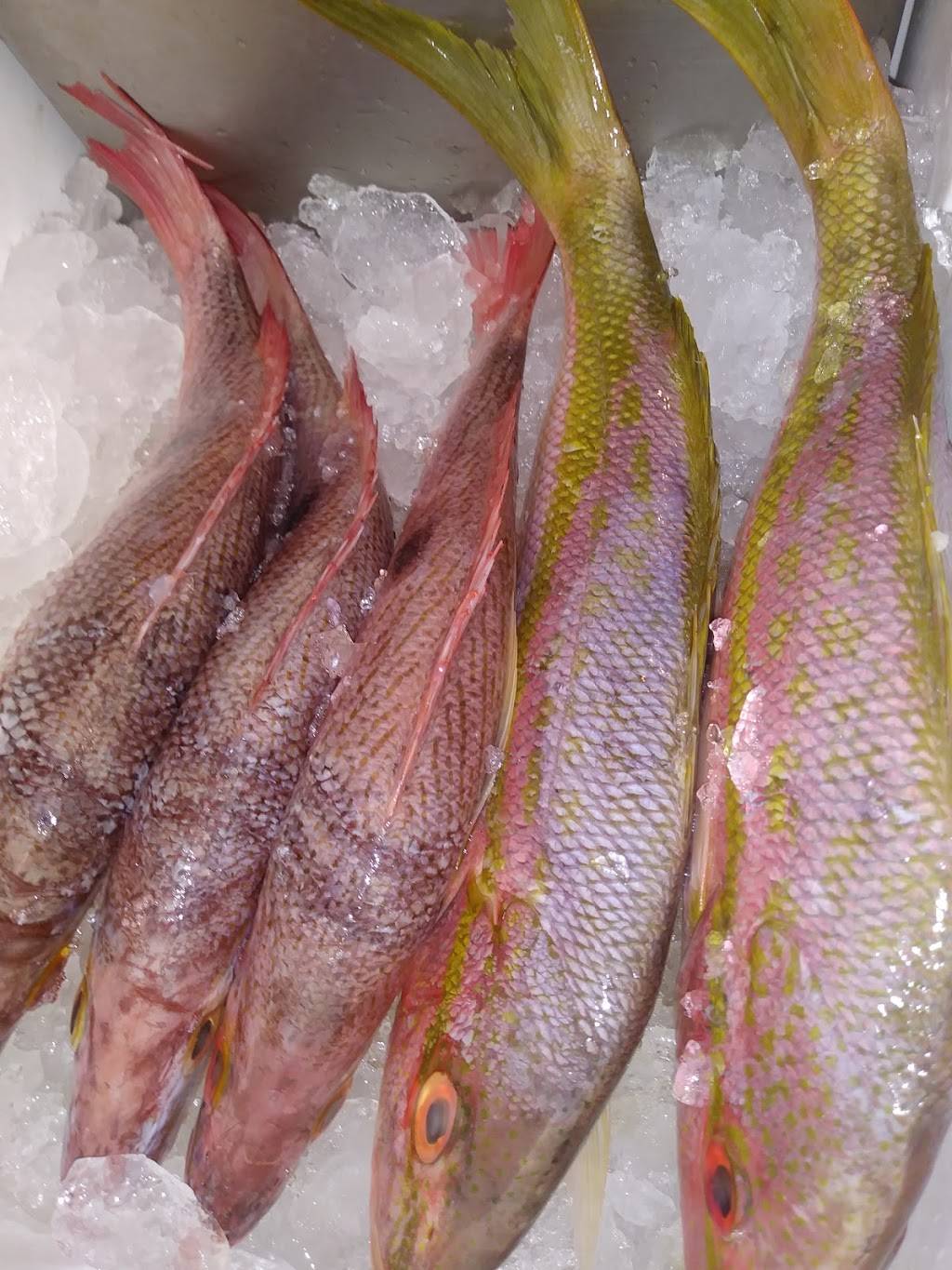 Lynn Blue Crab | restaurant | 2148 49th St S, Gulfport, FL 33707, USA | 7275924251 OR +1 727-592-4251