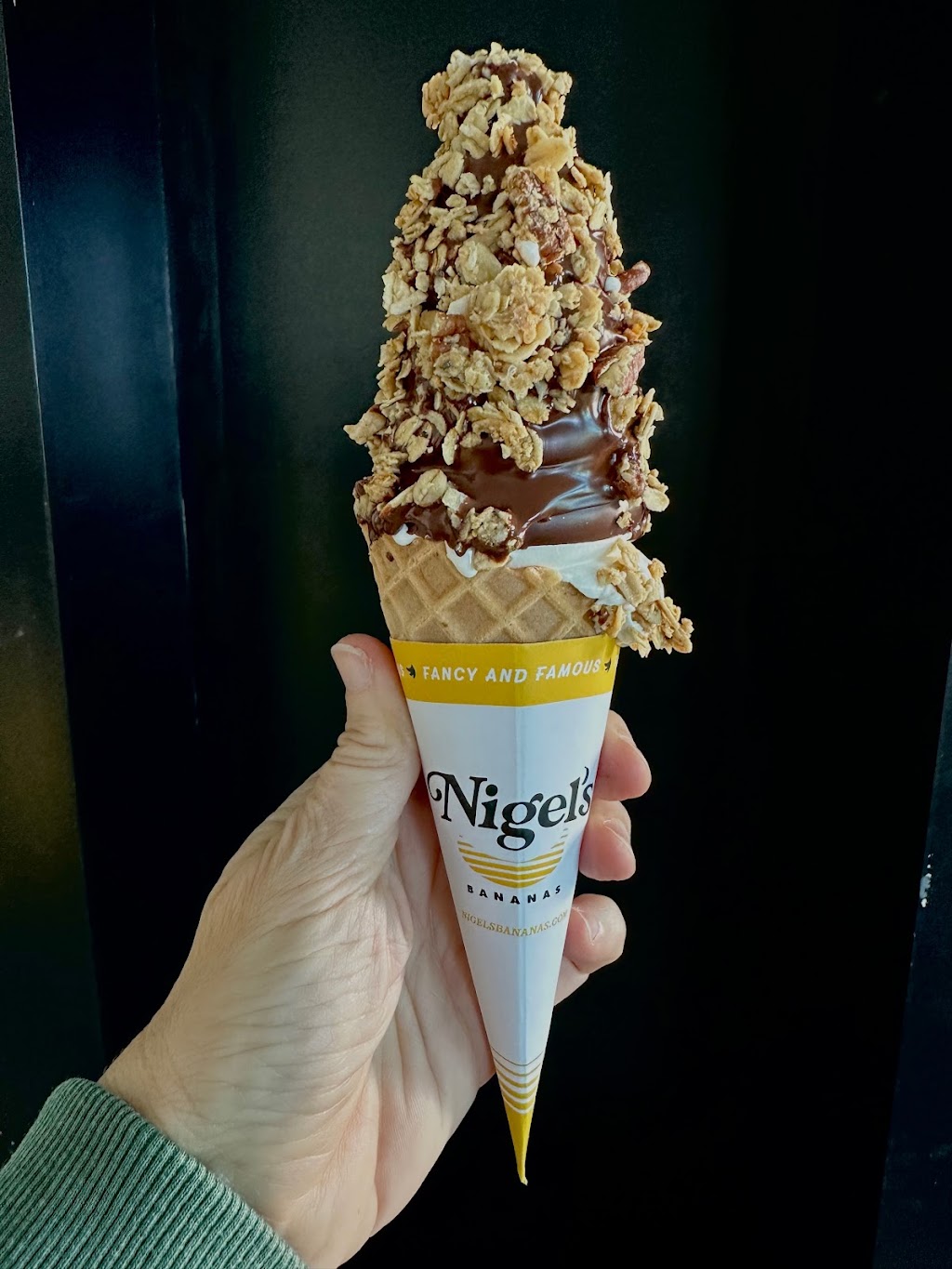 Nigels Bananas | cafe | 50 Origins Main St, Watersound, FL 32461, USA | 8503282098 OR +1 850-328-2098