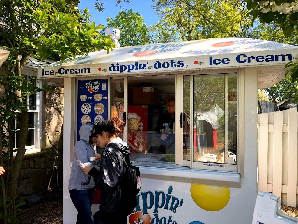 Rock City’s Cafe 7 | restaurant | 1400 Patten Rd, Lookout Mountain, GA 30750, USA | 7068202531 OR +1 706-820-2531