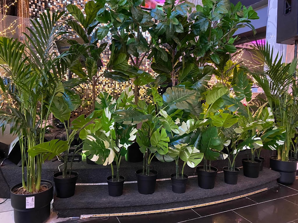 iTango Cafe | restaurant | 10022 Garden Grove Blvd, Garden Grove, CA 92844, USA | 7147255005 OR +1 714-725-5005