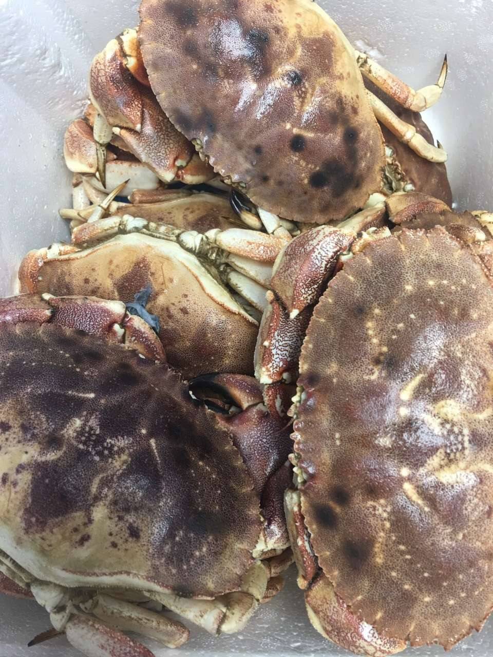 WILD ATLANTIC SEAFOOD | restaurant | 622 Cassat Ave, Jacksonville, FL 32205, USA | 9045517595 OR +1 904-551-7595