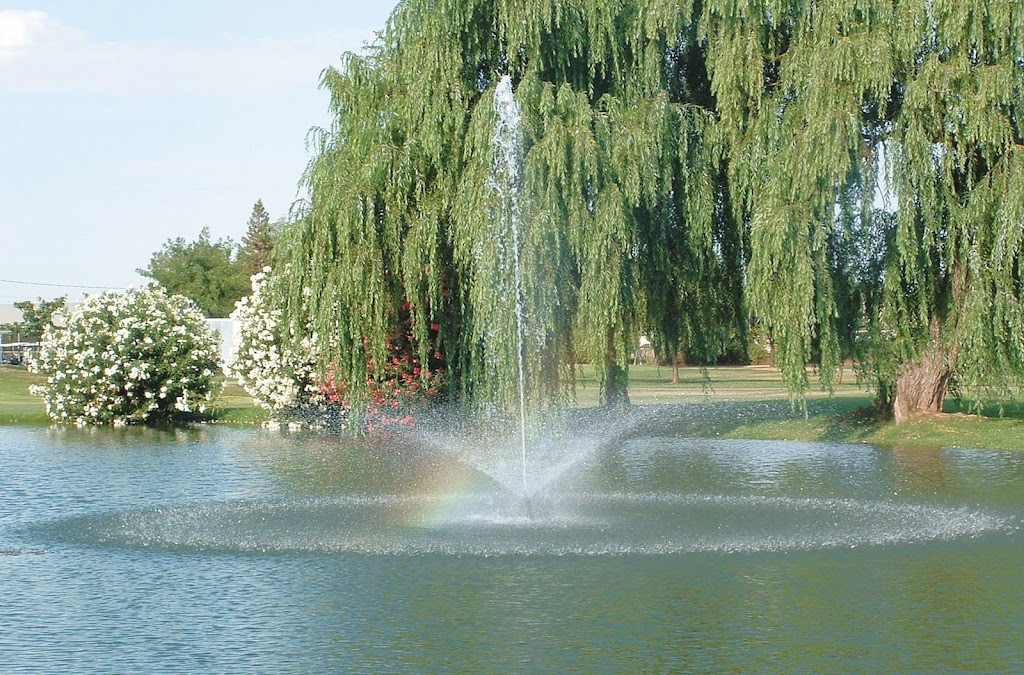 Cordova Golf Course | restaurant | 9425 Jackson Rd, Sacramento, CA 95826, USA | 9163621196 OR +1 916-362-1196