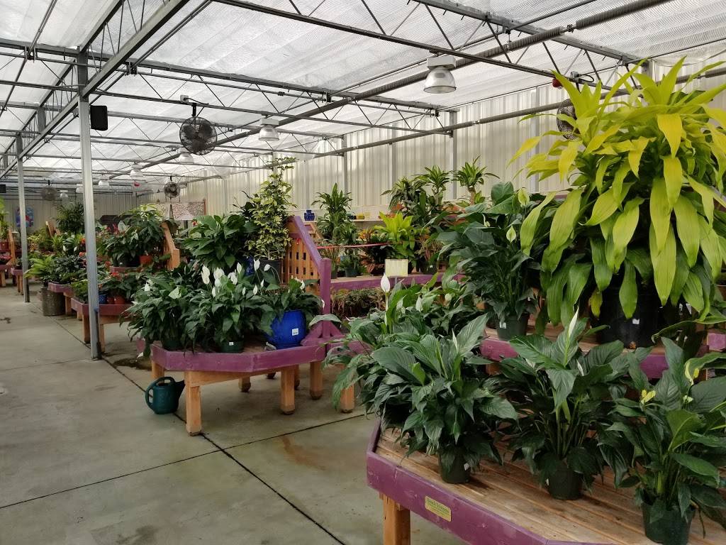 Andersons Newport News | cafe | 11250 Jefferson Ave, Newport News, VA 23601, USA | 7575993510 OR +1 757-599-3510