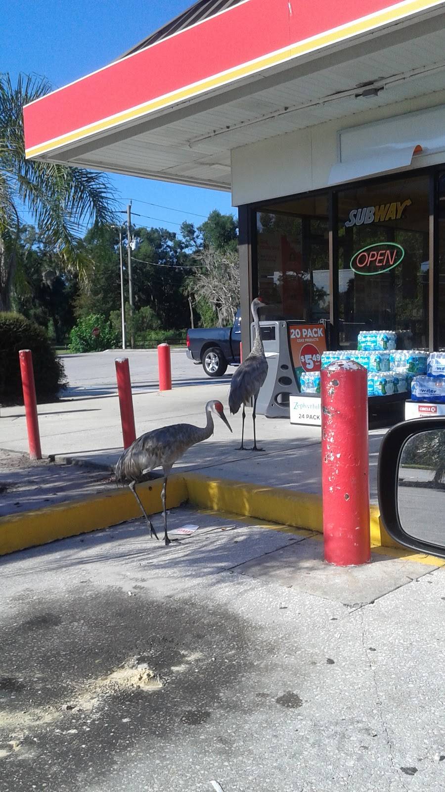 Subway Restaurants | restaurant | 320 State Rte 415, Osteen, FL 32764, USA | 4073229934 OR +1 407-322-9934