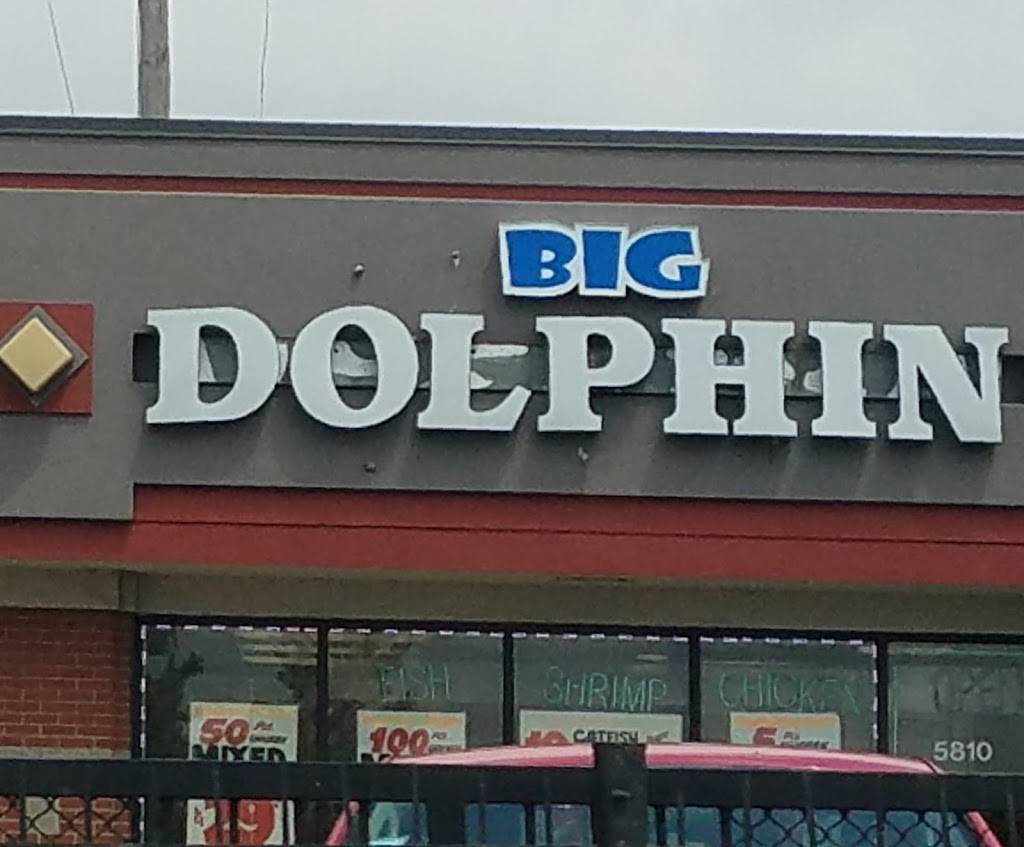 Big Dolphin | restaurant | 5810 W North Ave, Chicago, IL 60639, USA | 7736226054 OR +1 773-622-6054