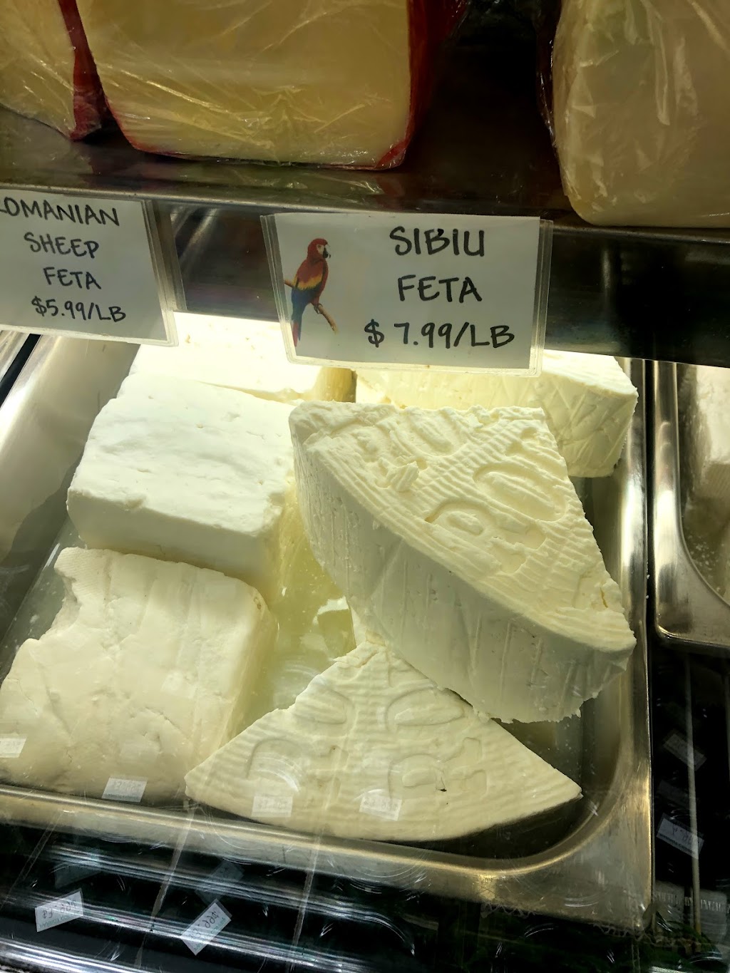 Parrot Coffee Grocery Inc | restaurant | 5822 Myrtle Ave, Ridgewood, NY 11385, USA | 7188212785 OR +1 718-821-2785