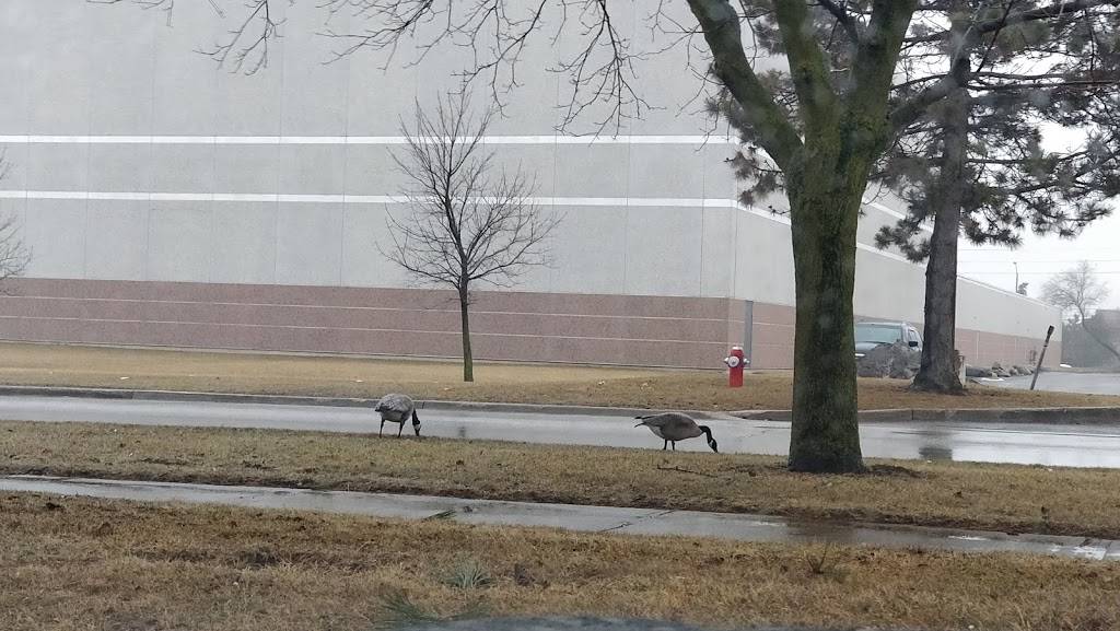 Keshav Foods | restaurant | 8975 McLaughlin Rd S unit 8, Brampton, ON L6Y 0Z6, Canada | 9058405711 OR +1 905-840-5711