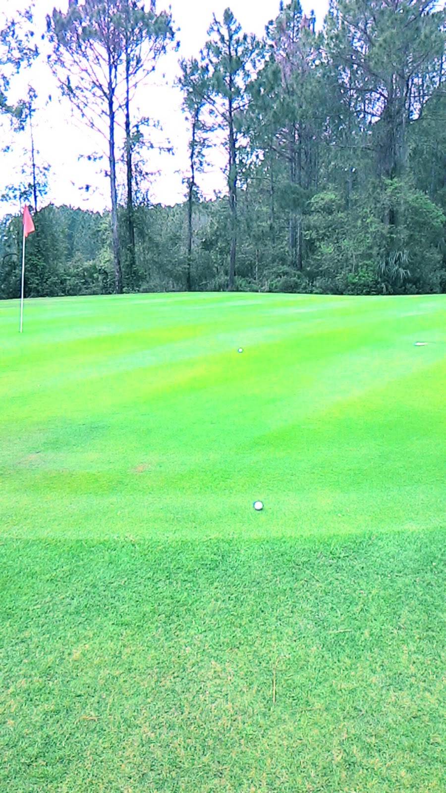 The Oaks Golf Club | restaurant | 1264 Co Rd 309, Crescent City, FL 32112, USA | 3864672512 OR +1 386-467-2512