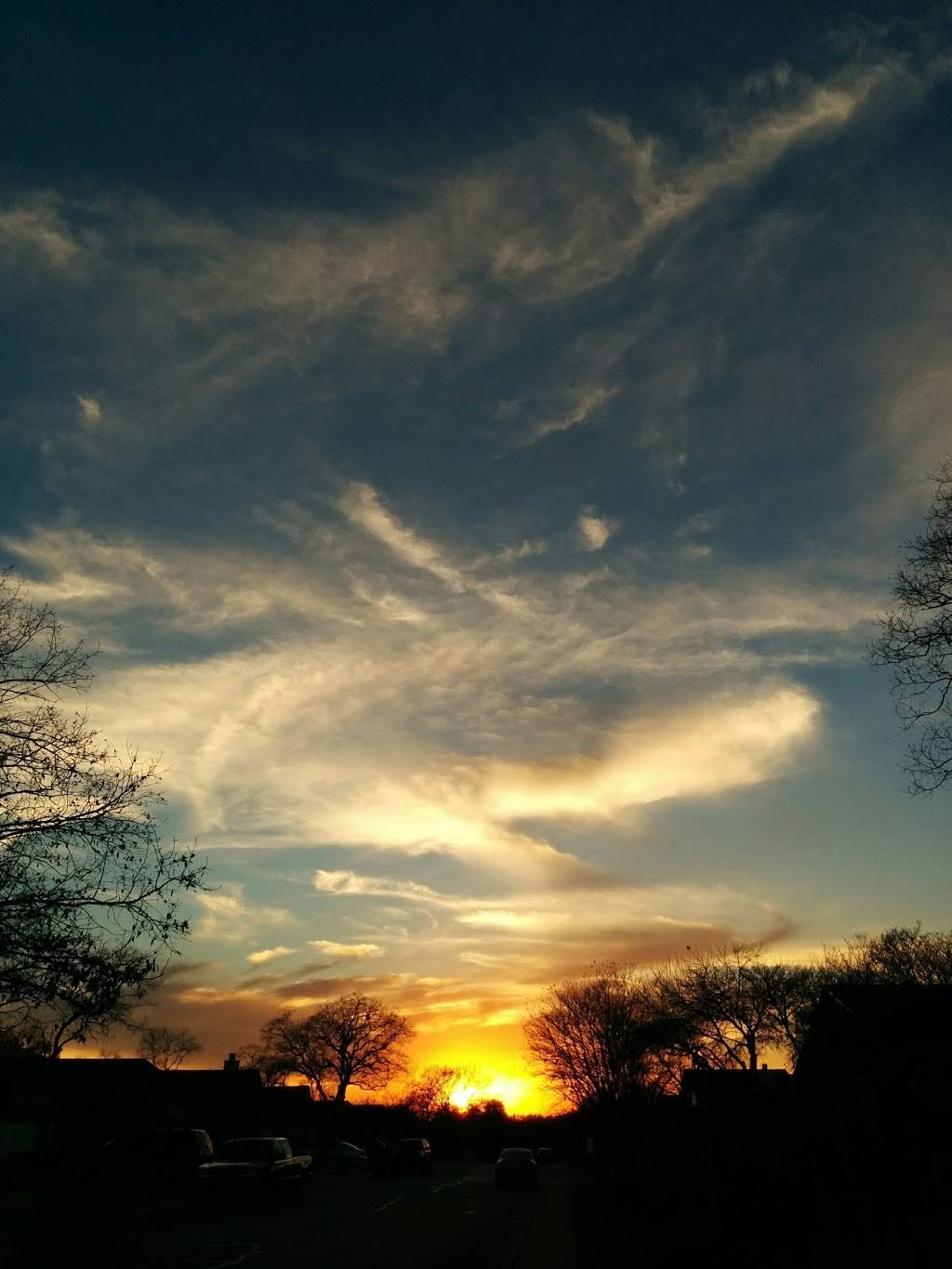 Whale Fish Shrimp & Chicken | restaurant | 3600 W Chicago Ave, Chicago, IL 60651, USA | 7732785555 OR +1 773-278-5555