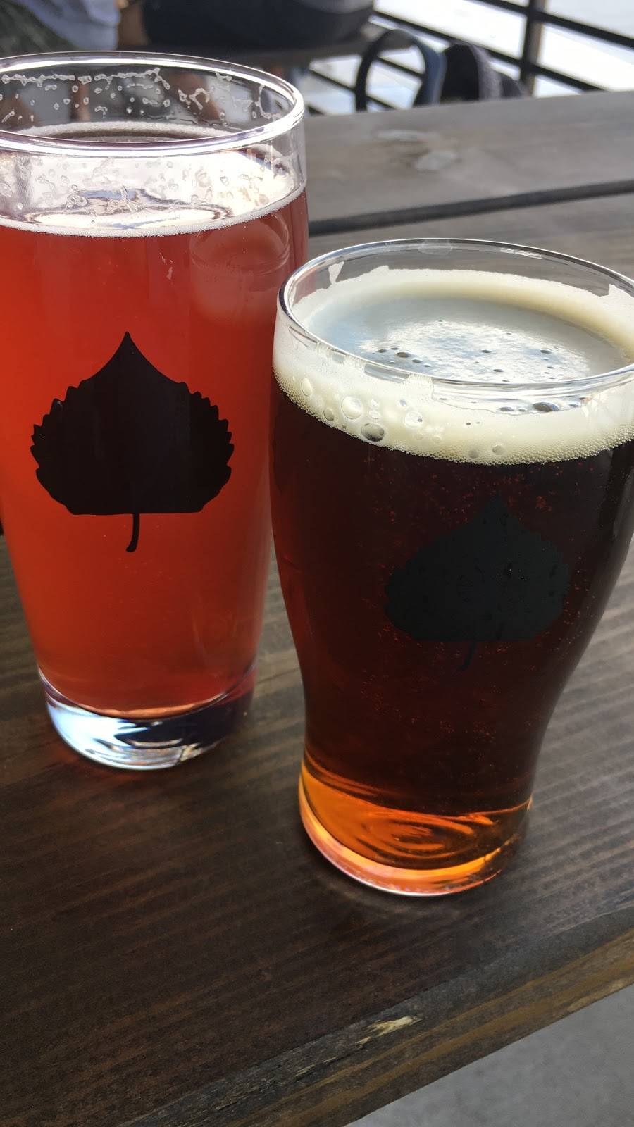 Bosque North | restaurant | 834 US-550, Bernalillo, NM 87004, USA | 5053611876 OR +1 505-361-1876